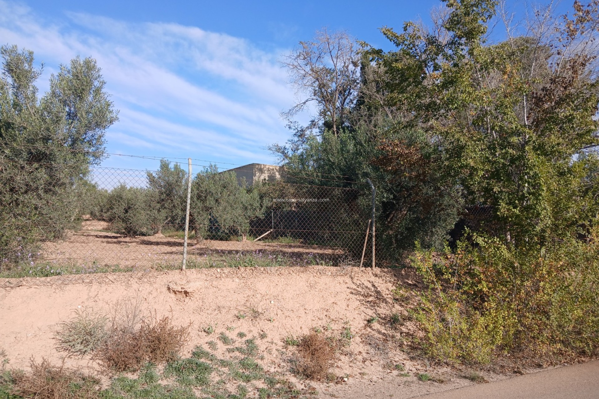 Resale - Country Property/Finca - Jumilla - Inland