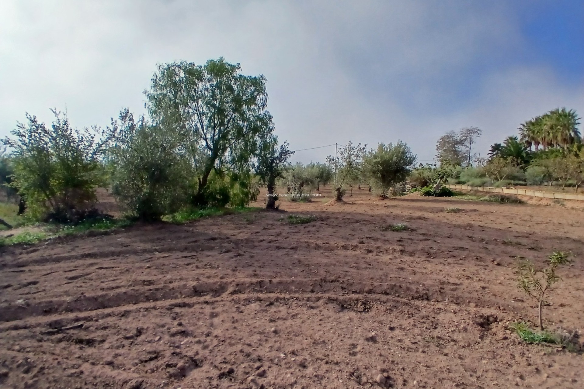 Resale - Country Property/Finca - Jumilla - Inland