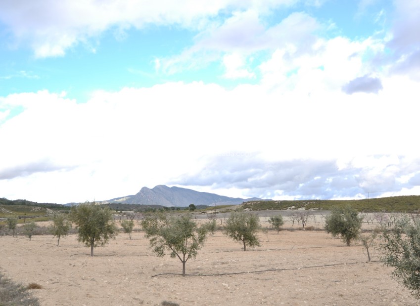 Resale - Country Property/Finca - Jumilla - Inland