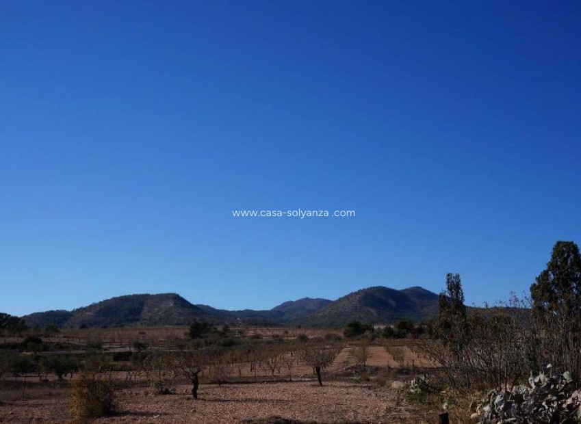 Resale - Country Property/Finca - Jumilla - Inland