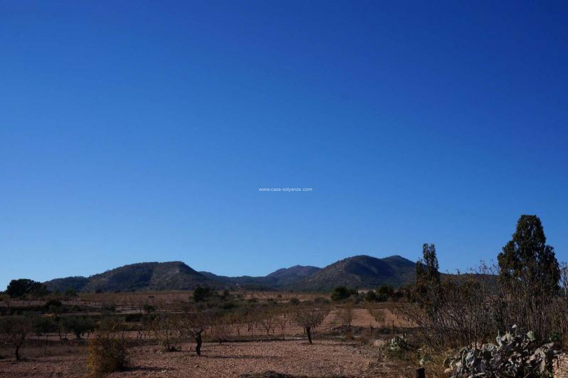 Resale - Country Property/Finca - Jumilla - Inland