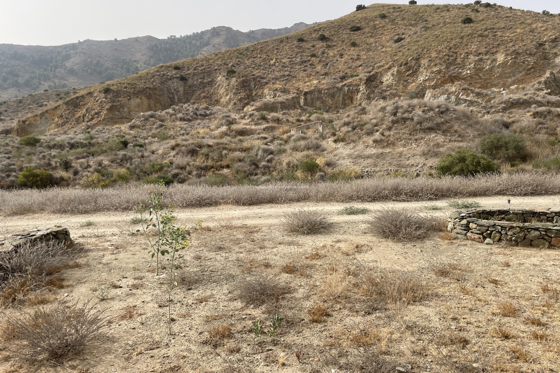 Resale - Country Property/Finca - La Pinilla - Inland