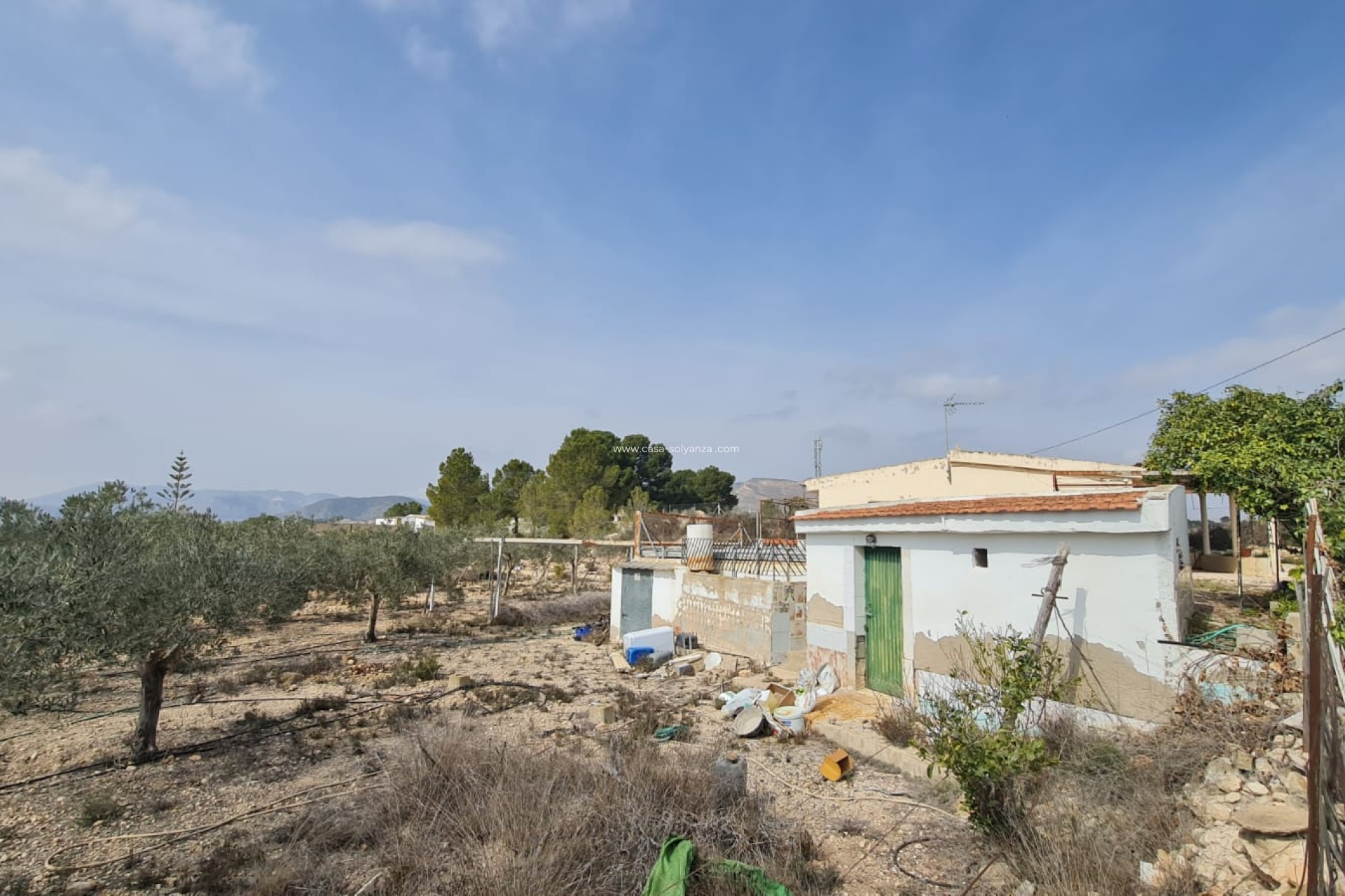 Resale - Country Property/Finca - La Romana - Inland