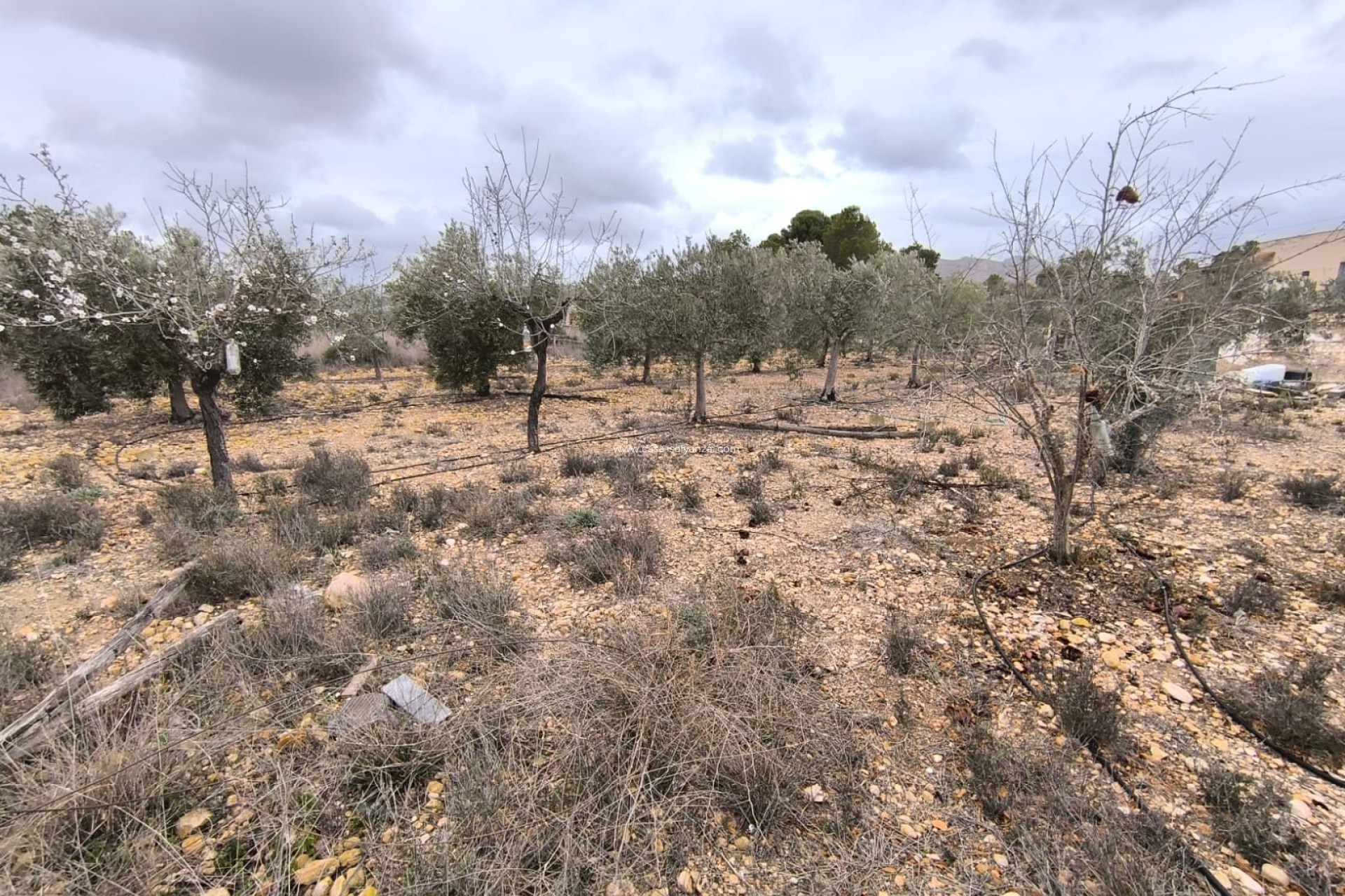 Resale - Country Property/Finca - La Romana - Inland