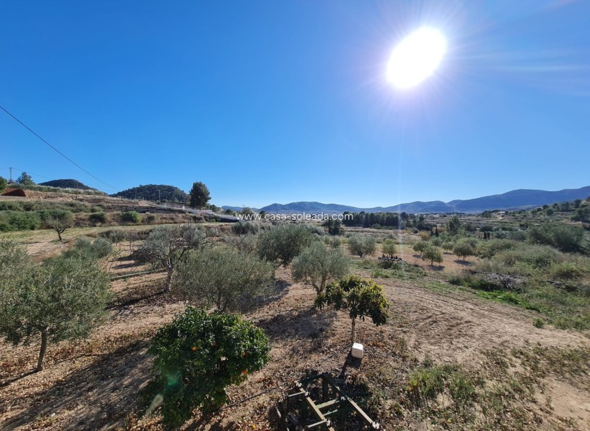 Resale - Country Property/Finca - La Romana - Inland