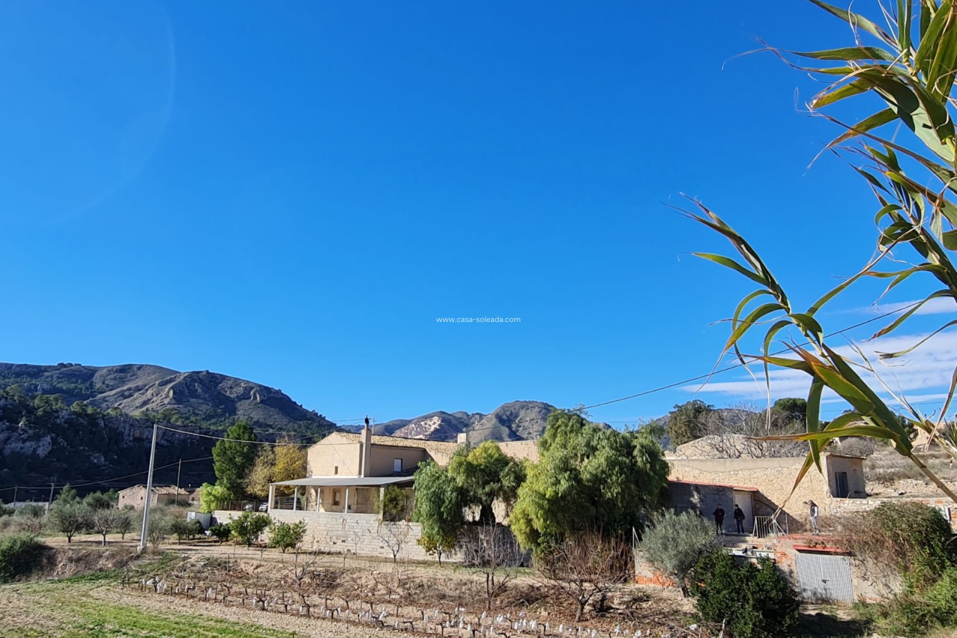 Resale - Country Property/Finca - La Romana - Inland