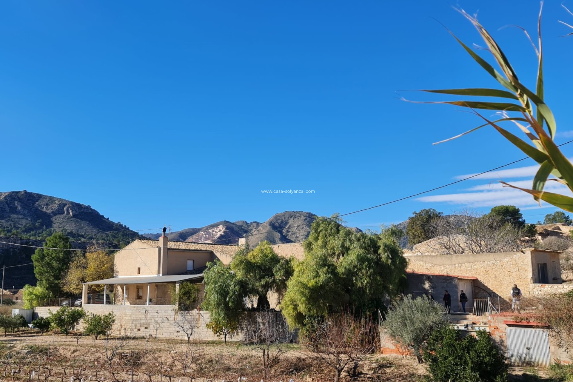 Resale - Country Property/Finca - La Romana - Inland