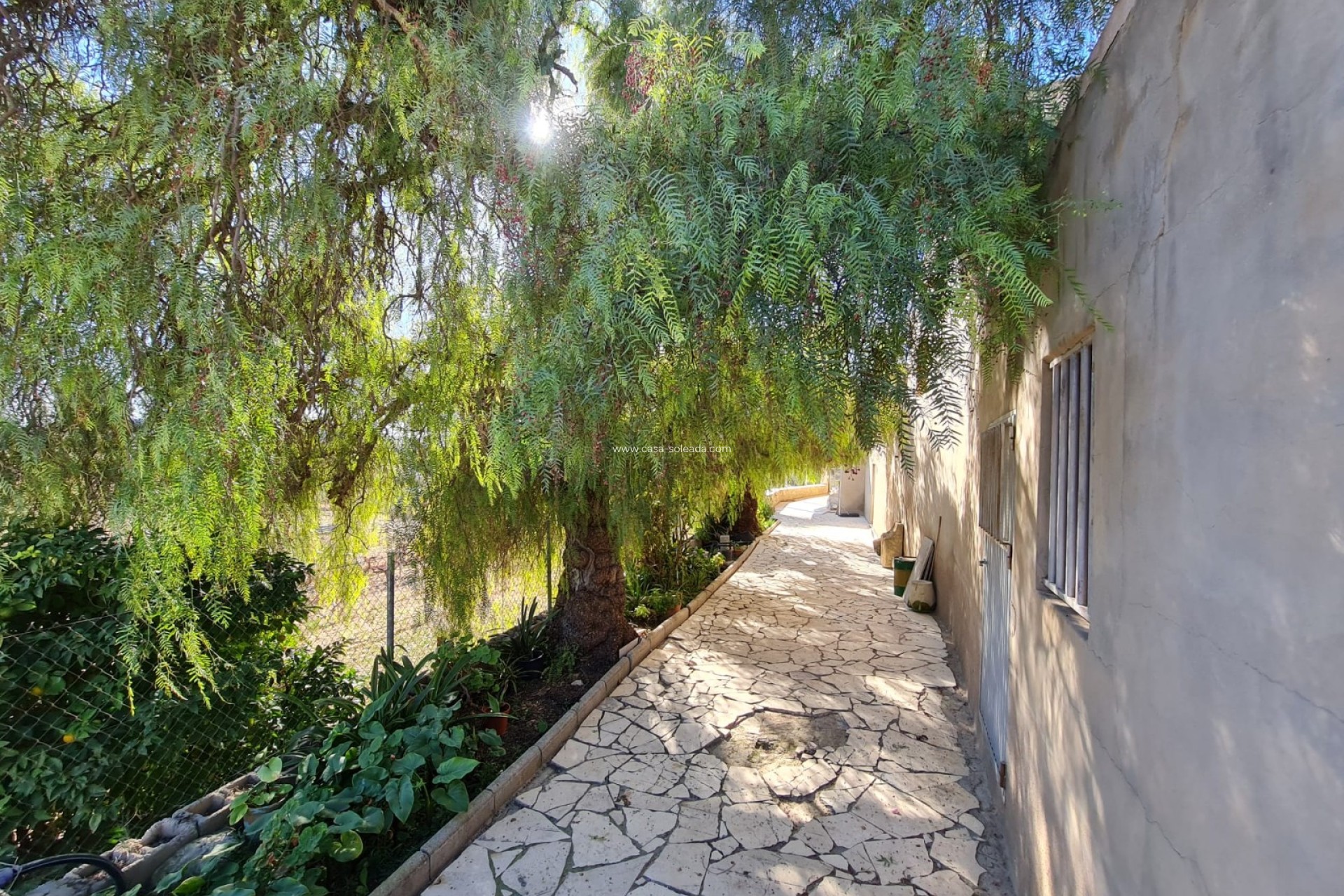 Resale - Country Property/Finca - La Romana - Inland