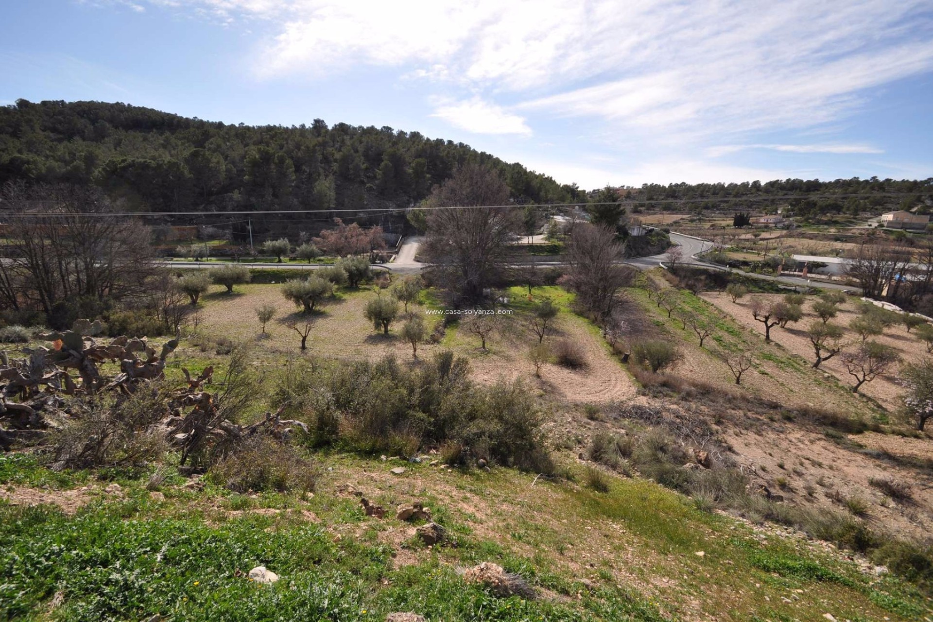 Resale - Country Property/Finca - La Zarza - Inland