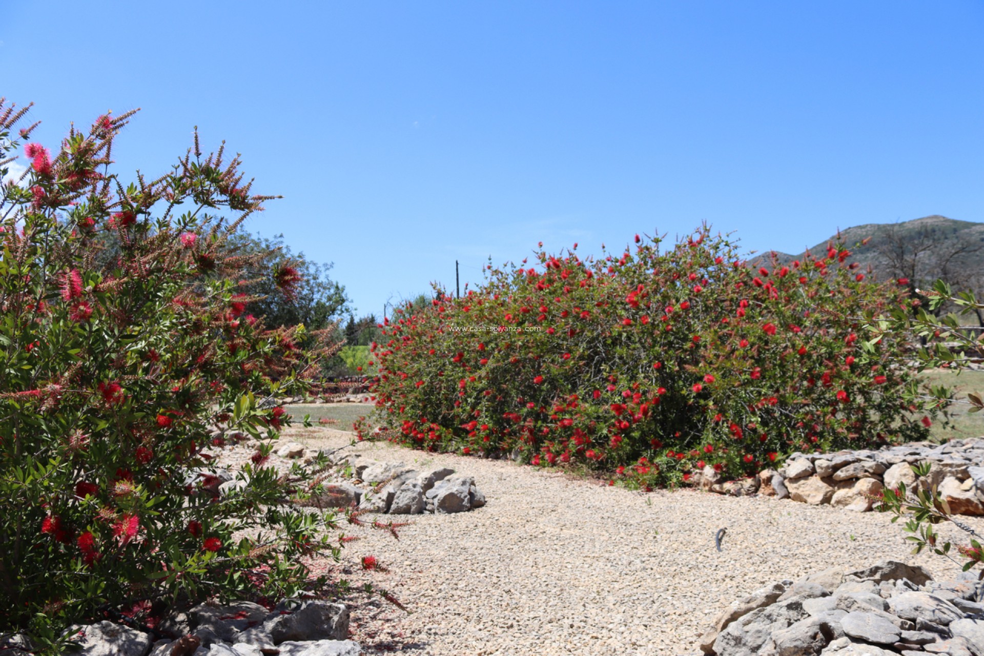 Resale - Country Property/Finca - Lliber - Inland