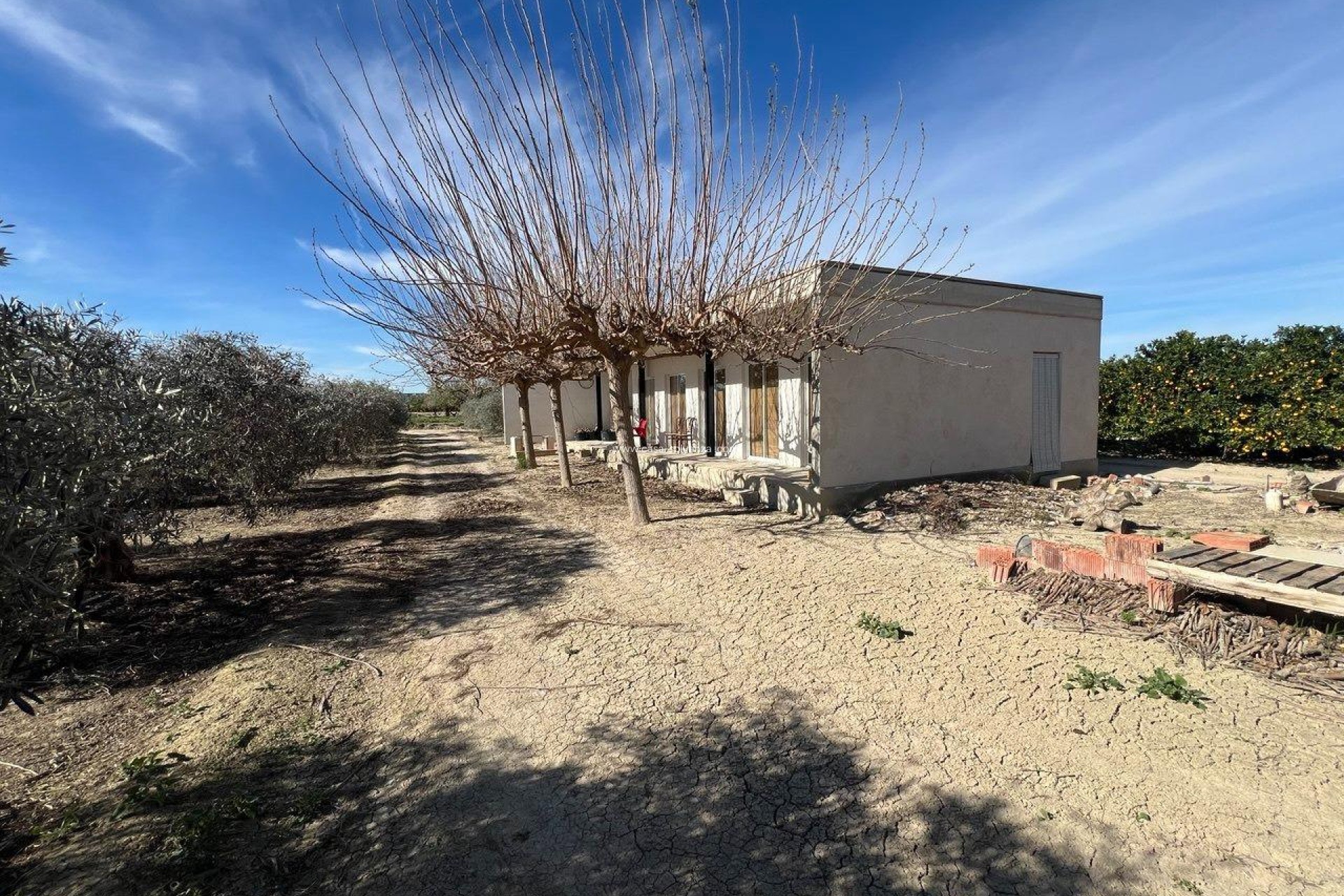 Resale - Country Property/Finca - Los Montesinos - Comunidad Valenciana