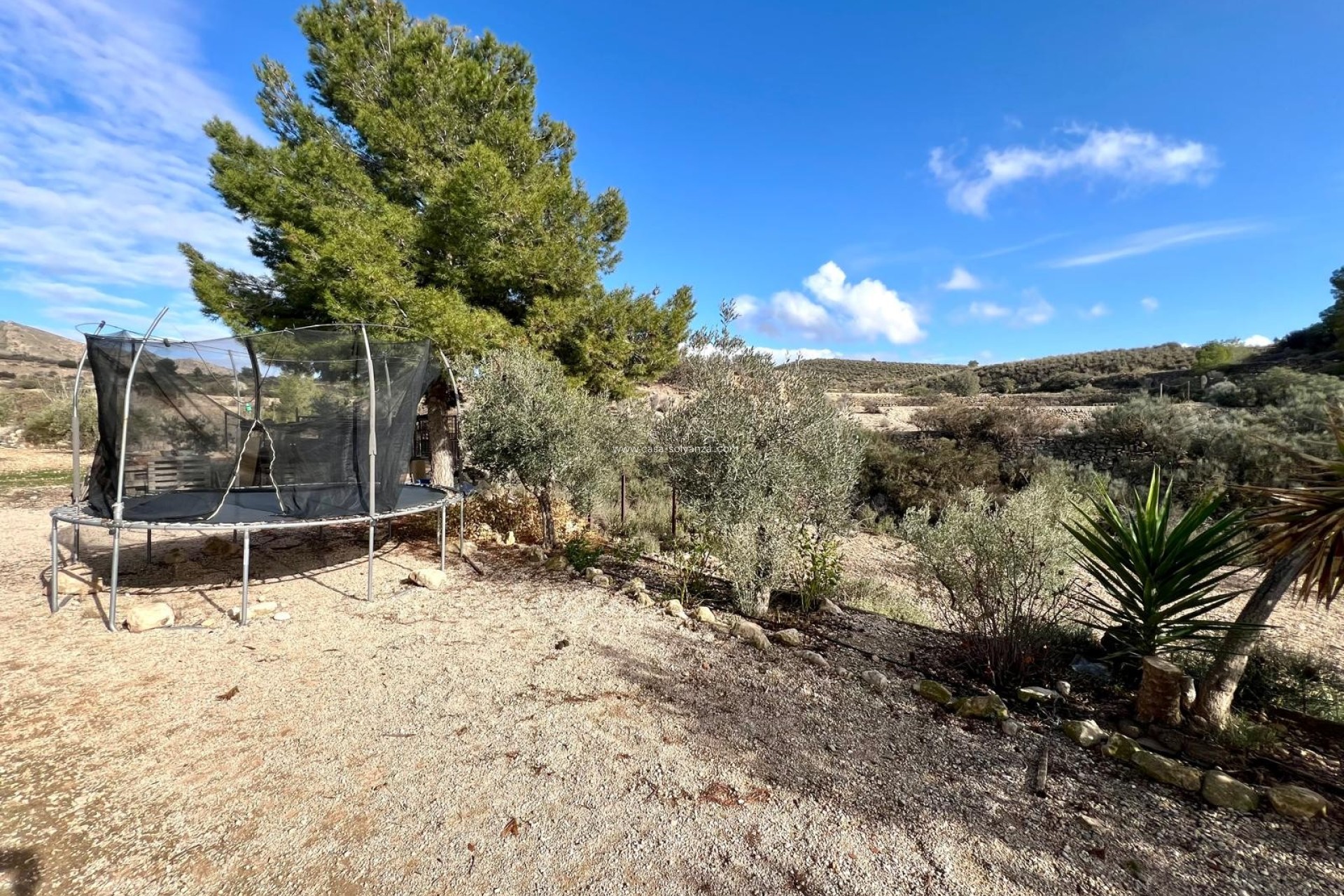 Resale - Country Property/Finca - Monóvar - Inland