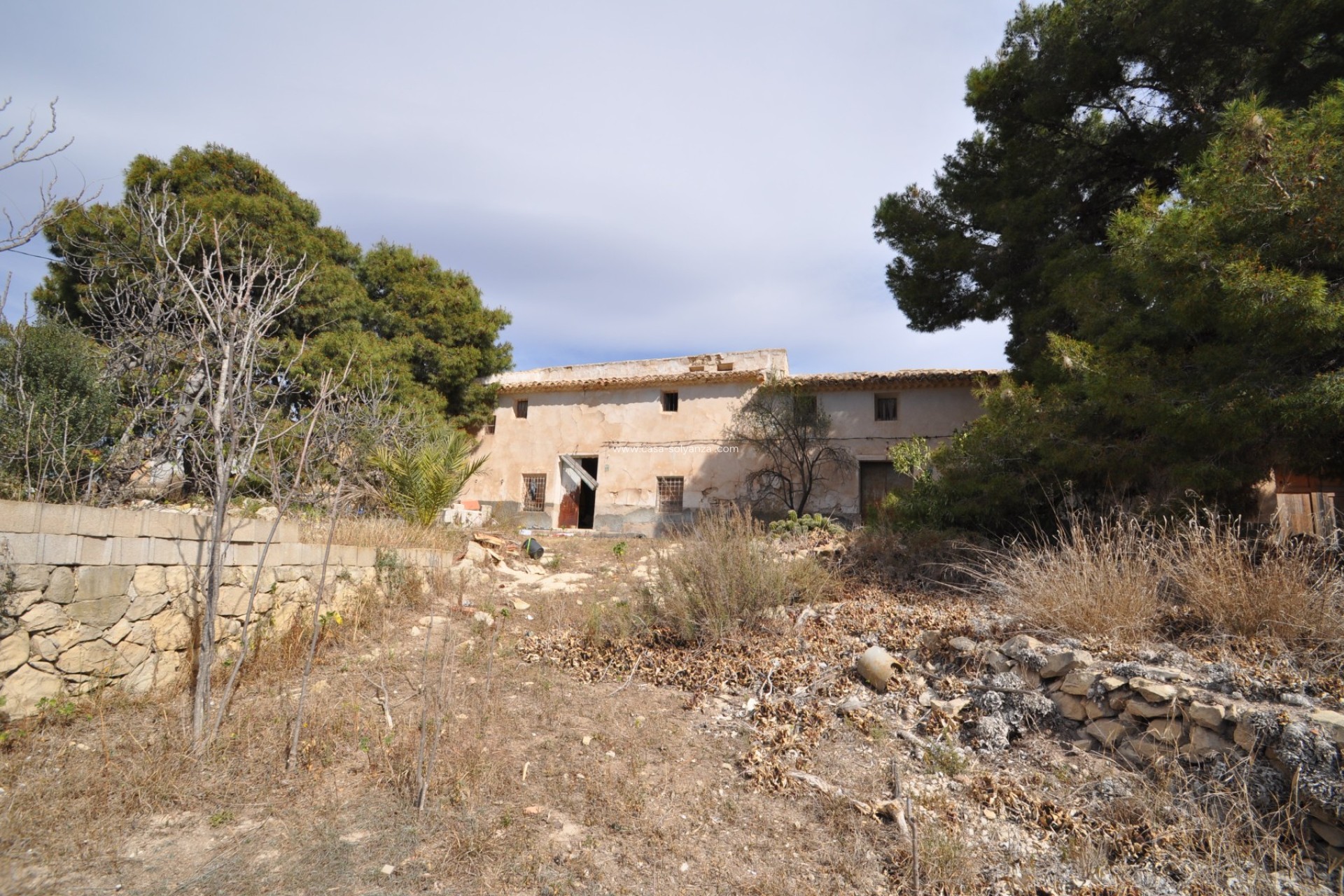 Resale - Country Property/Finca - Monóvar - Inland