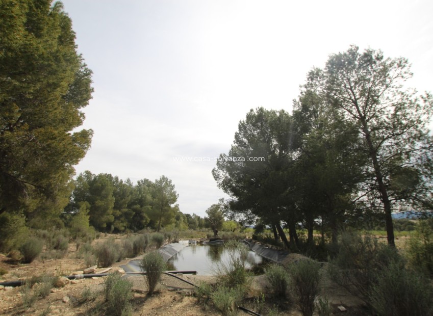 Resale - Country Property/Finca - Monóvar - Inland