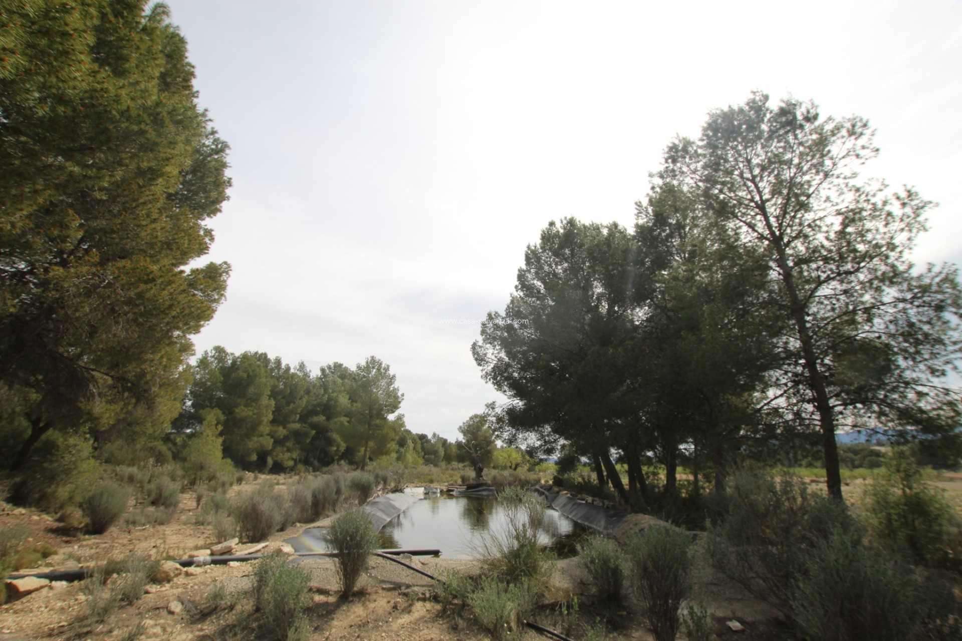 Resale - Country Property/Finca - Monóvar - Inland