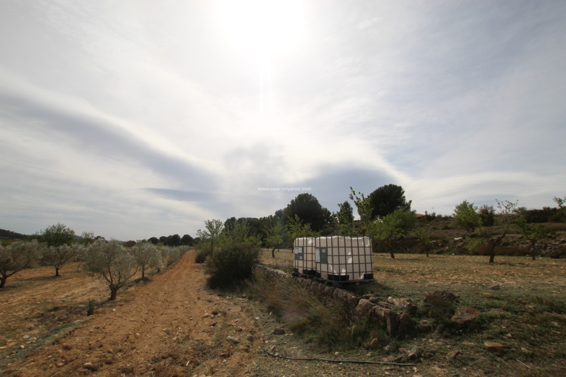 Resale - Country Property/Finca - Monóvar - Inland
