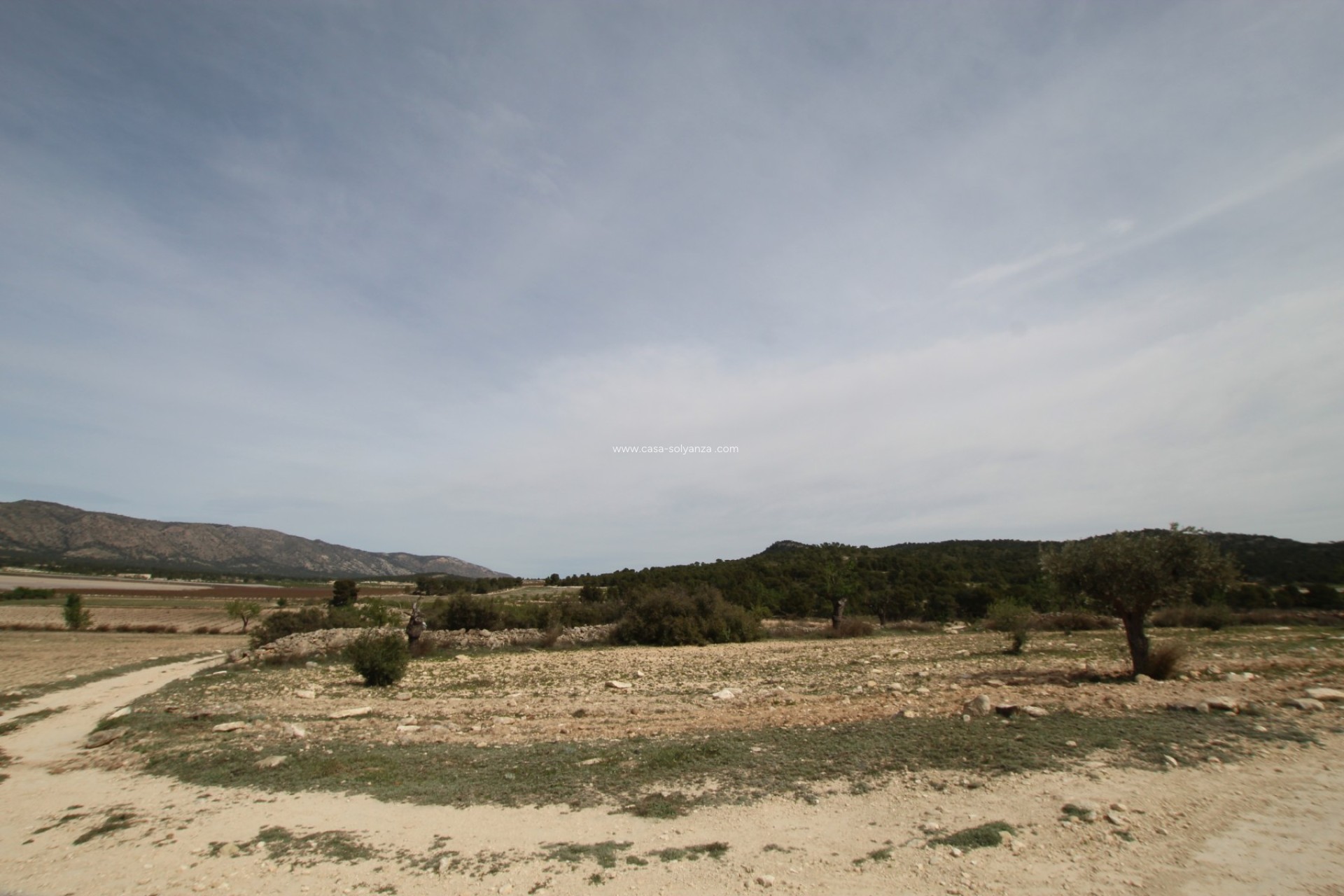 Resale - Country Property/Finca - Monóvar - Inland