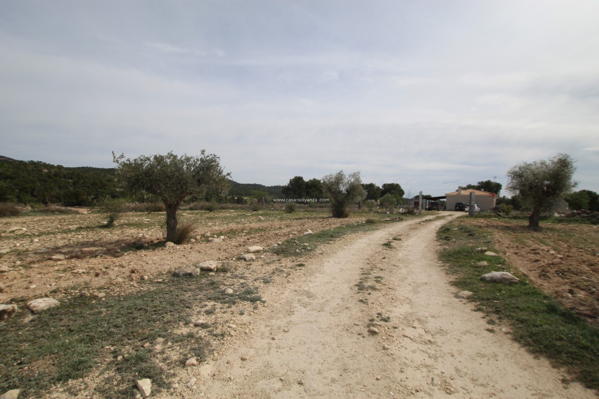 Resale - Country Property/Finca - Monóvar - Inland