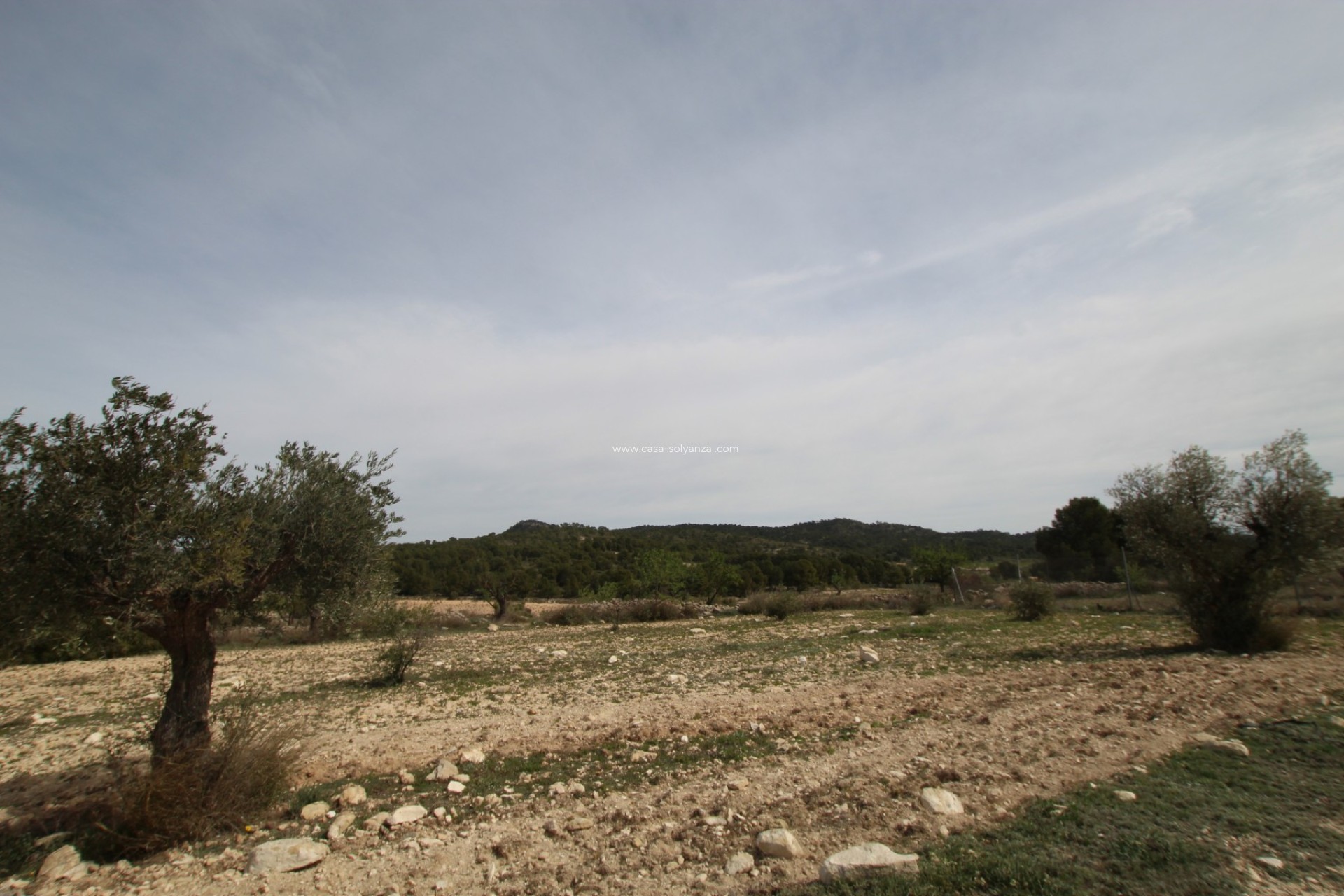 Resale - Country Property/Finca - Monóvar - Inland