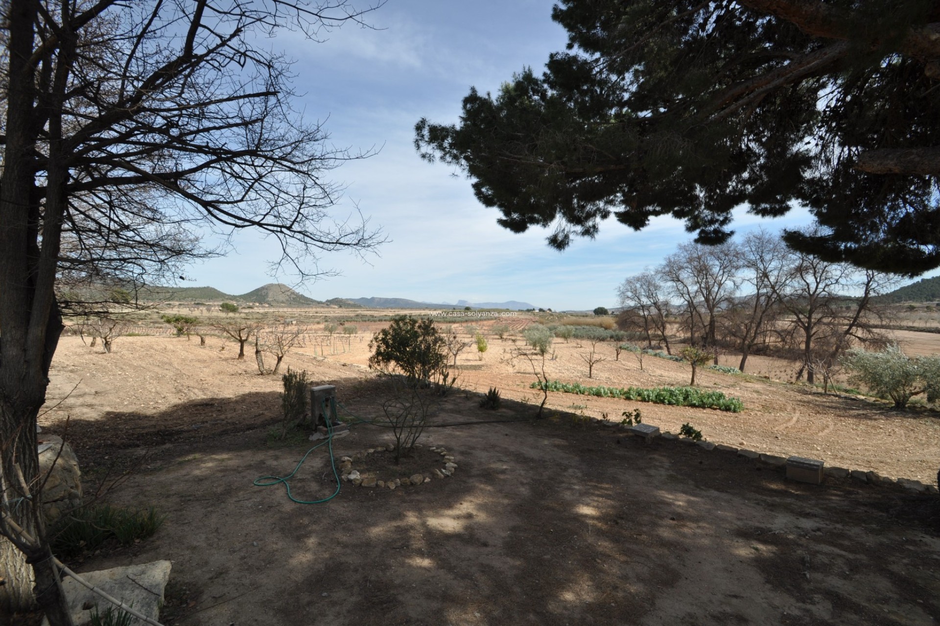 Resale - Country Property/Finca - Monóvar - Inland