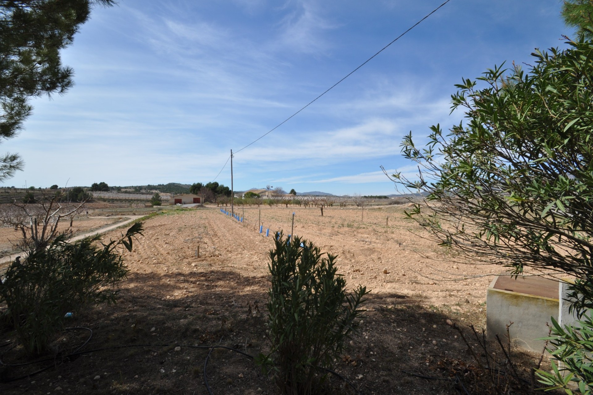 Resale - Country Property/Finca - Monóvar - Inland