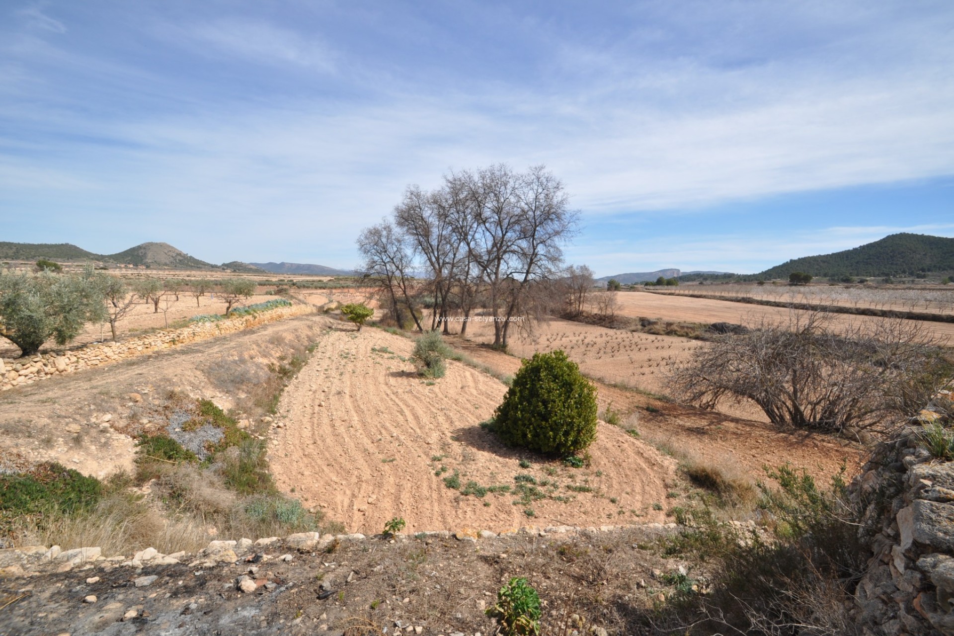 Resale - Country Property/Finca - Monóvar - Inland