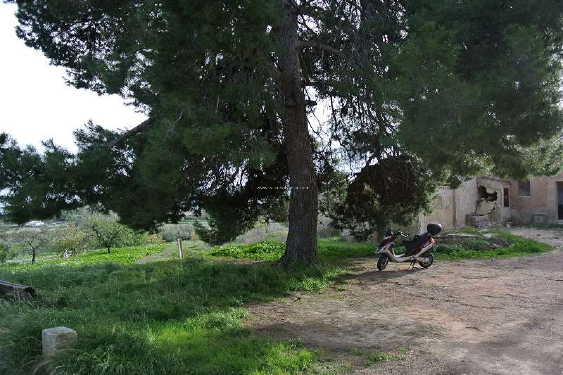 Resale - Country Property/Finca - Monóvar - Inland