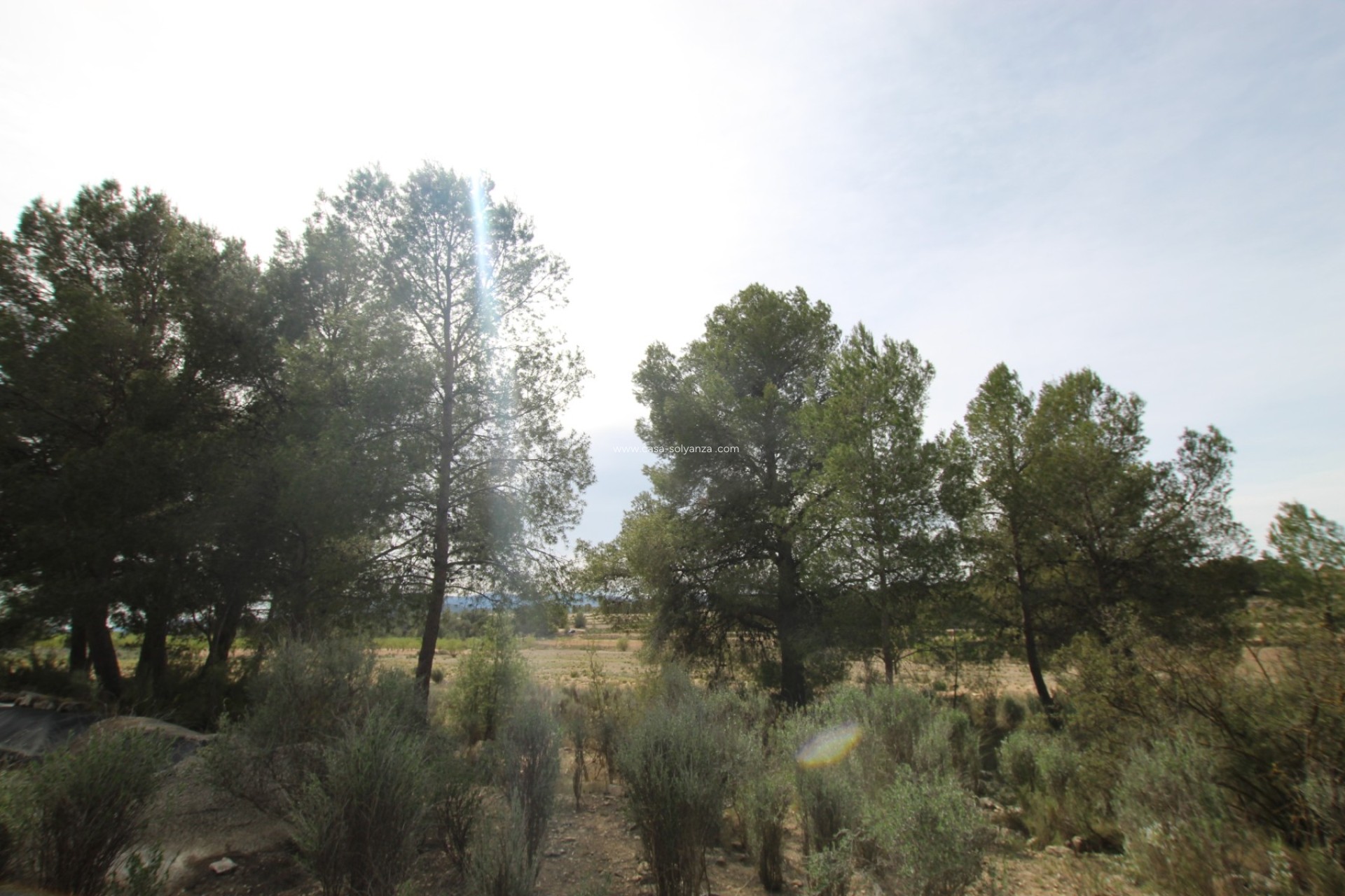 Resale - Country Property/Finca - Monóvar - Inland