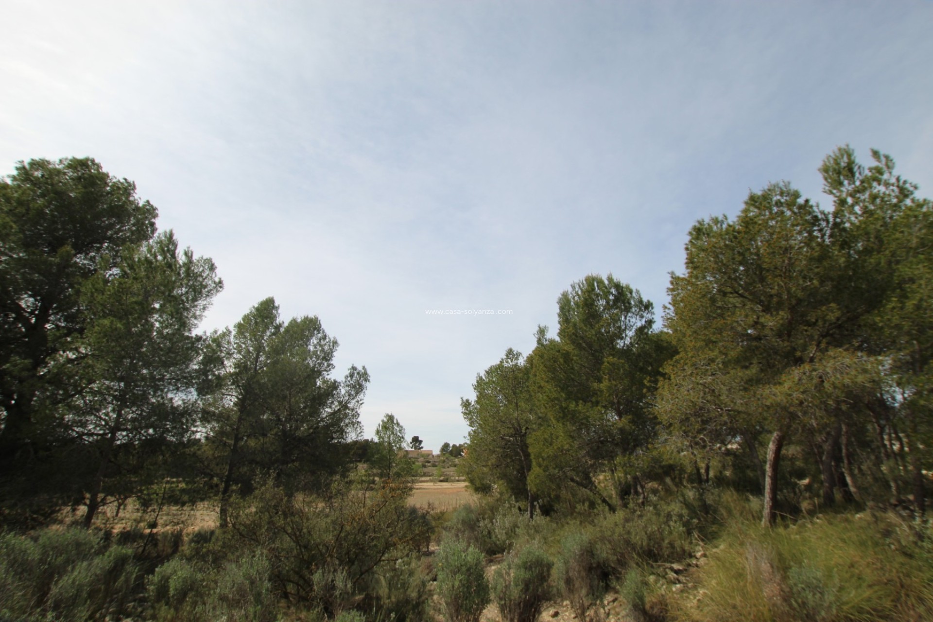 Resale - Country Property/Finca - Monóvar - Inland