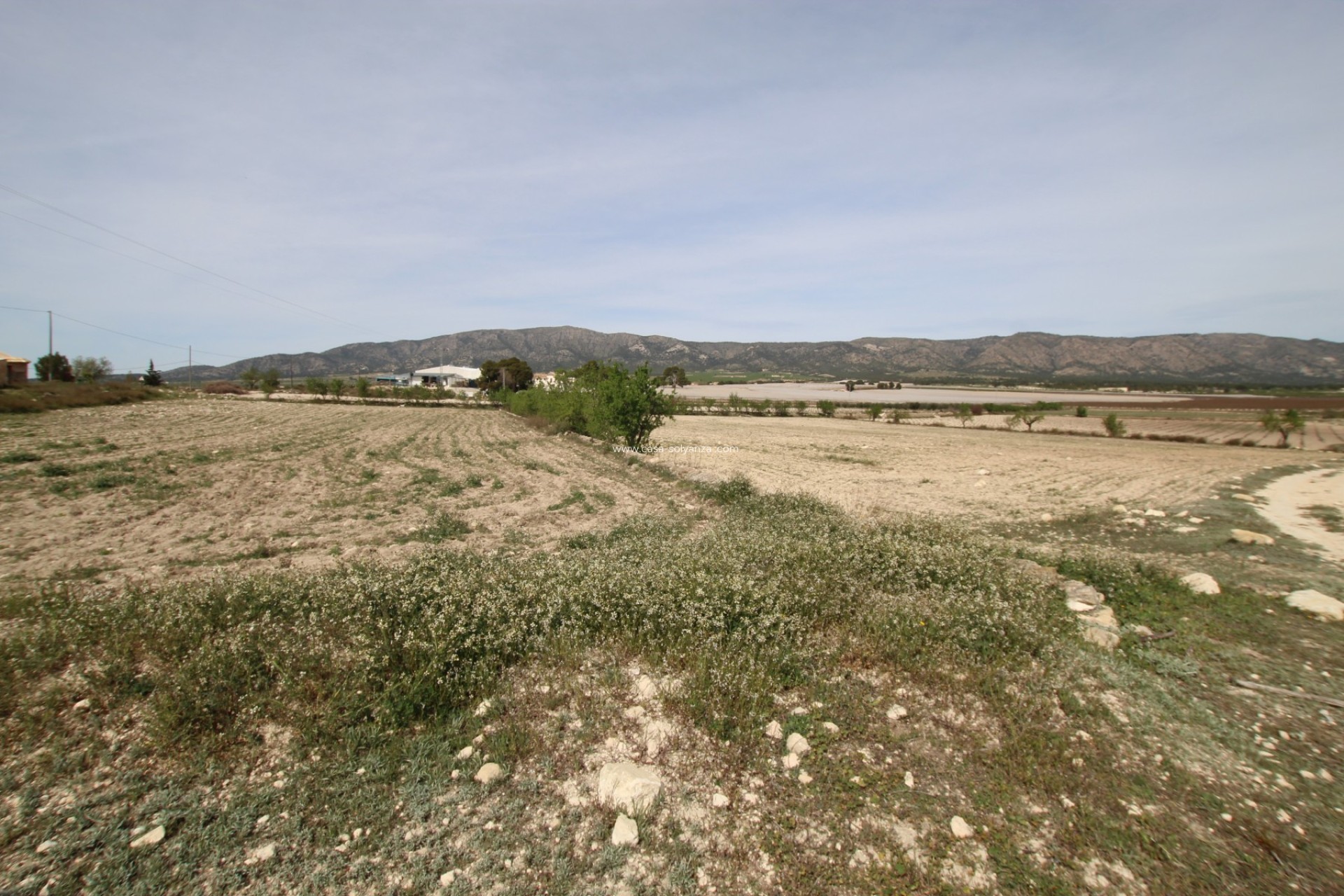 Resale - Country Property/Finca - Monóvar - Inland