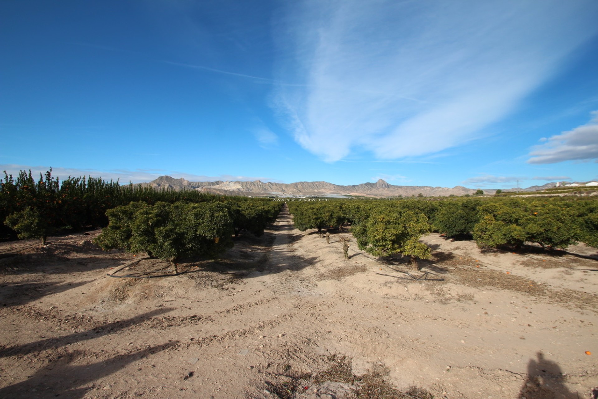 Resale - Country Property/Finca - Murcia - Inland