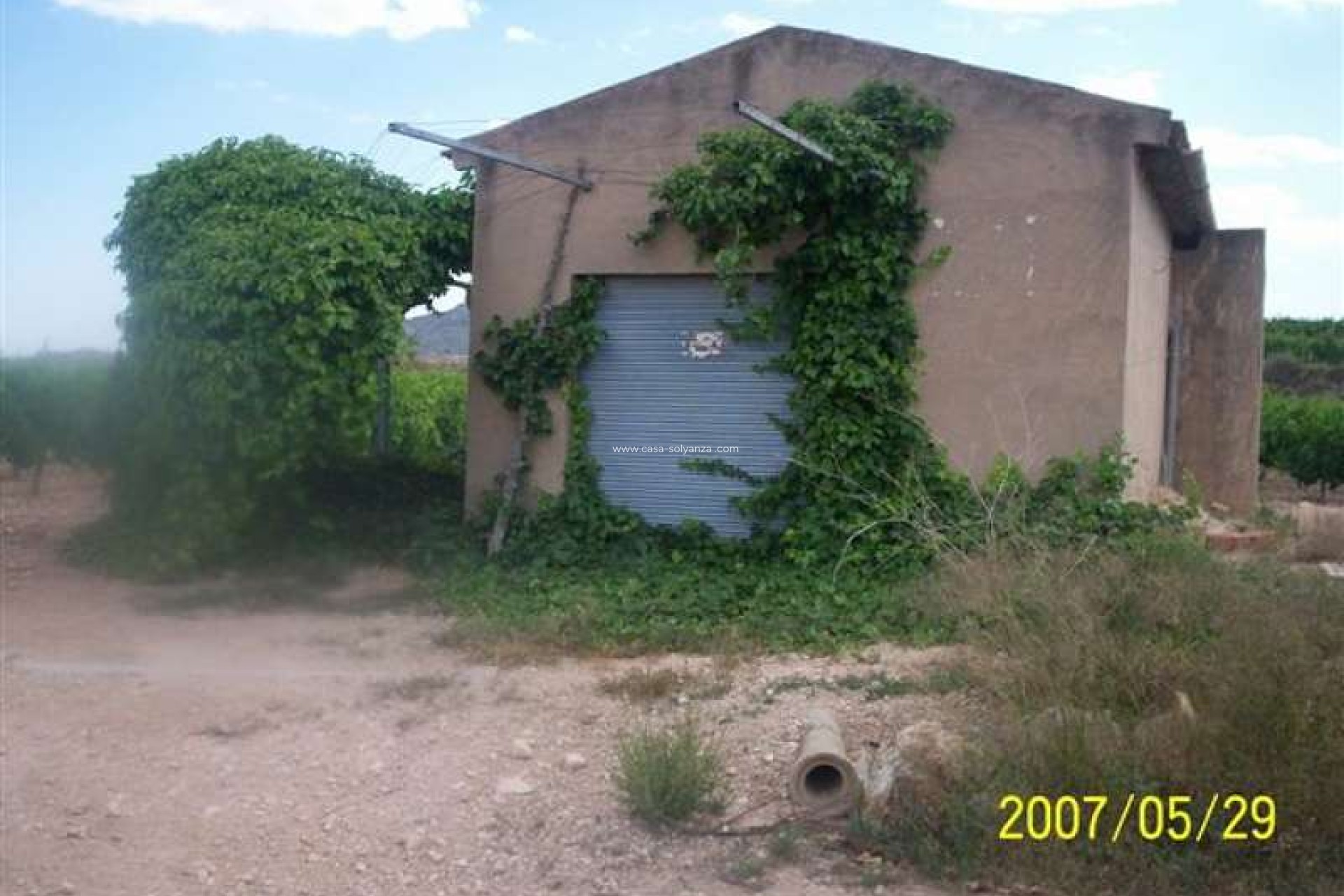 Resale - Country Property/Finca - Novelda - Inland