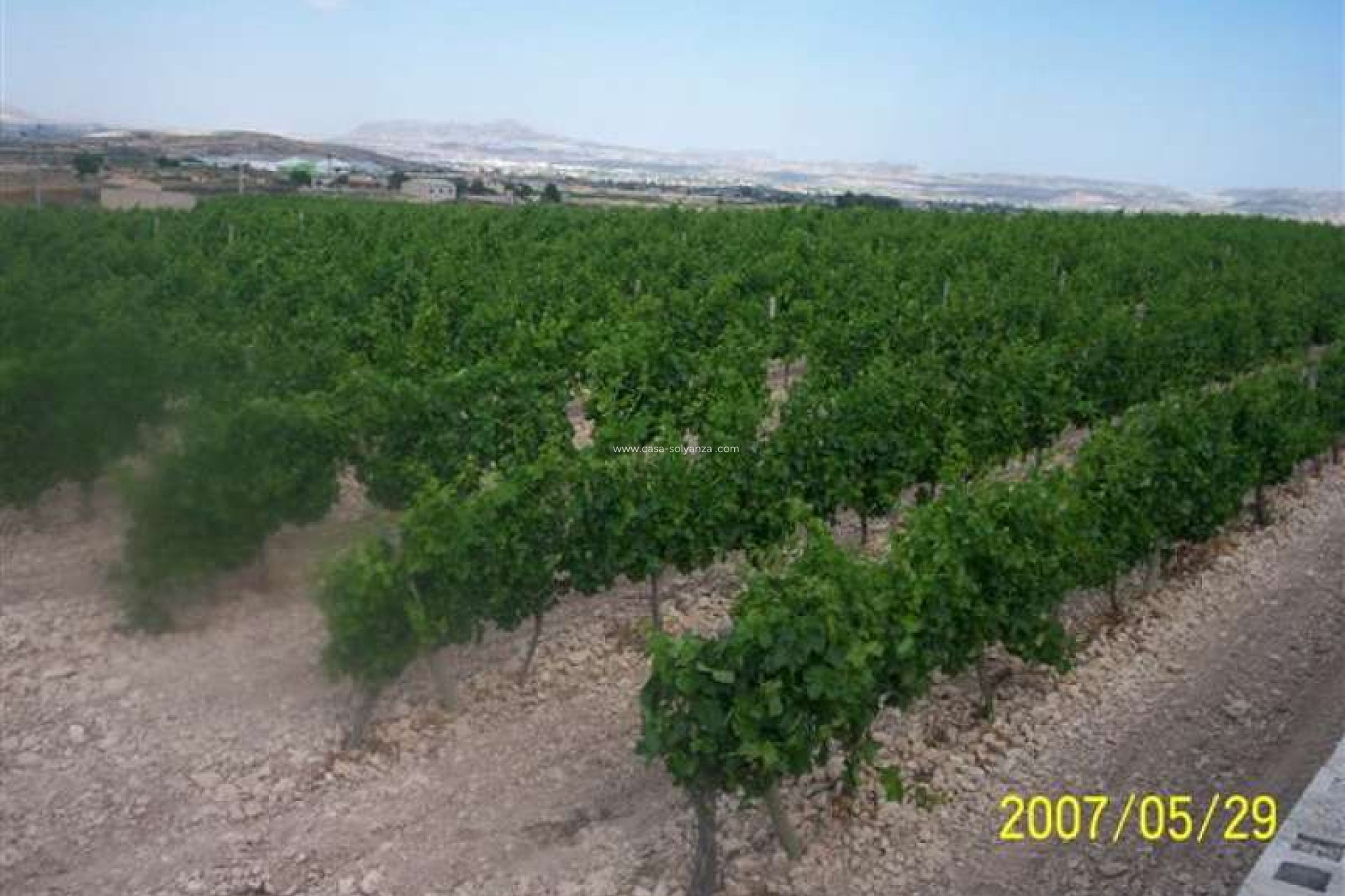 Resale - Country Property/Finca - Novelda - Inland