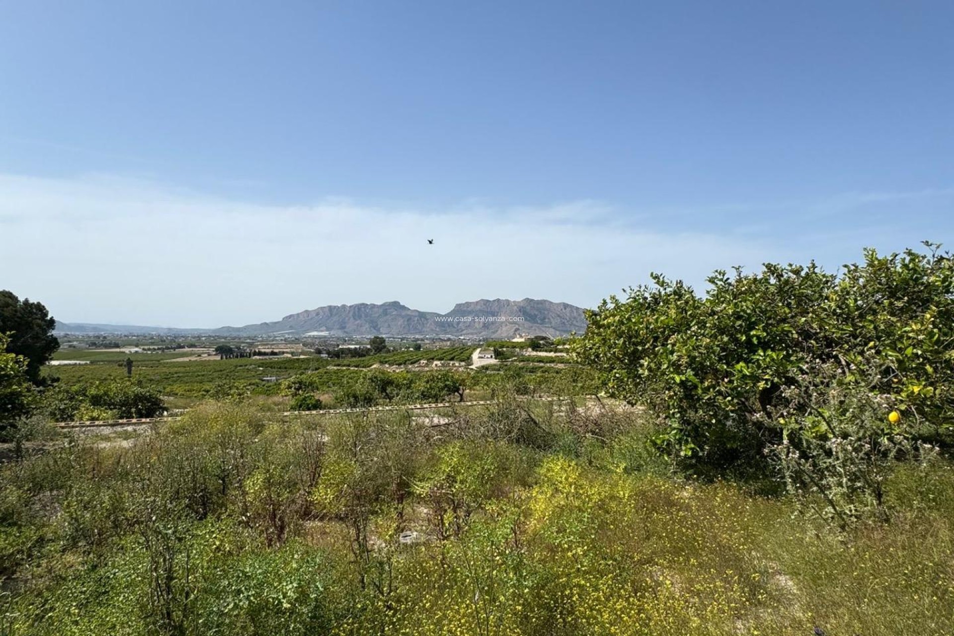 Resale - Country Property/Finca - Orihuela - Arneva