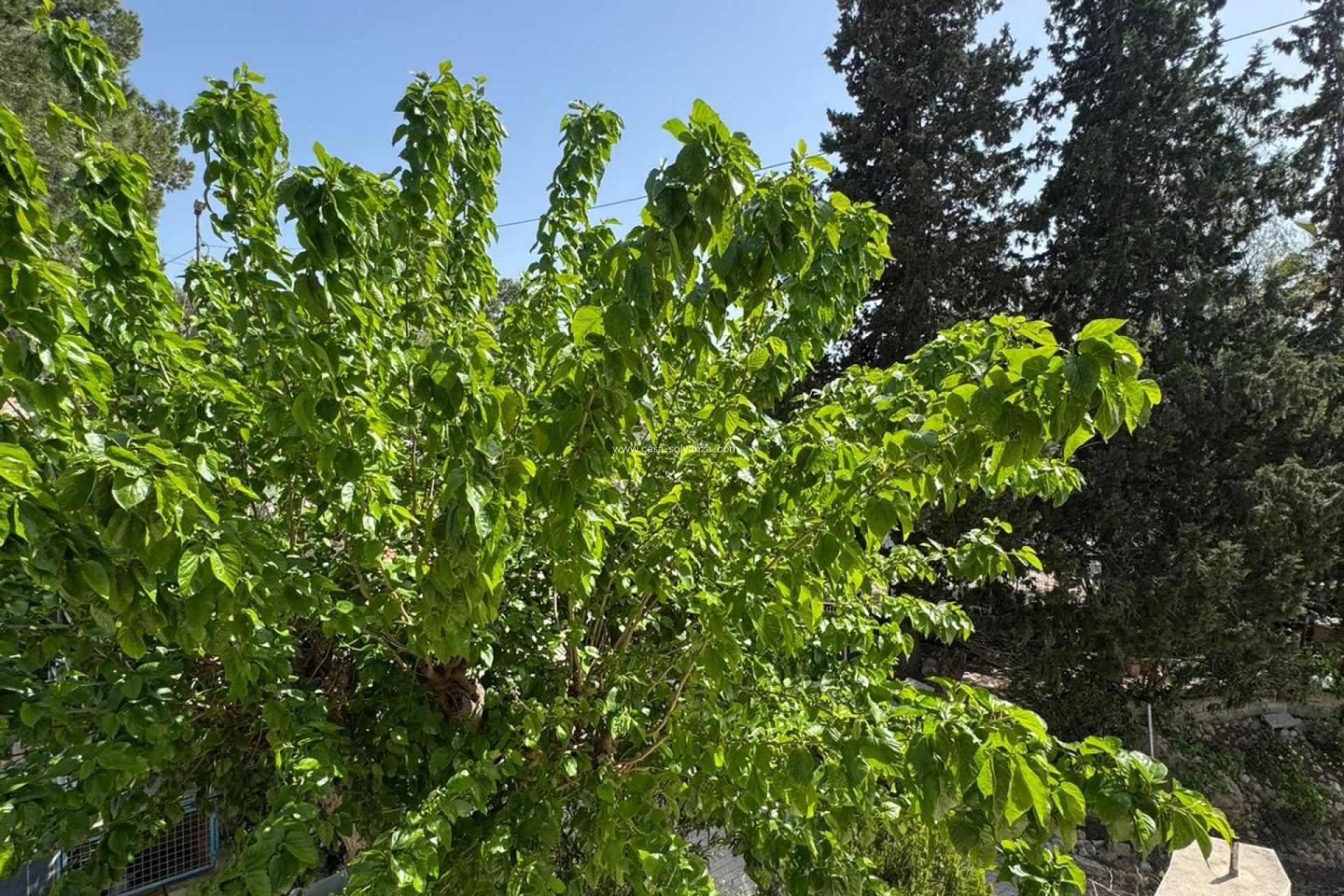 Resale - Country Property/Finca - Orihuela - Arneva