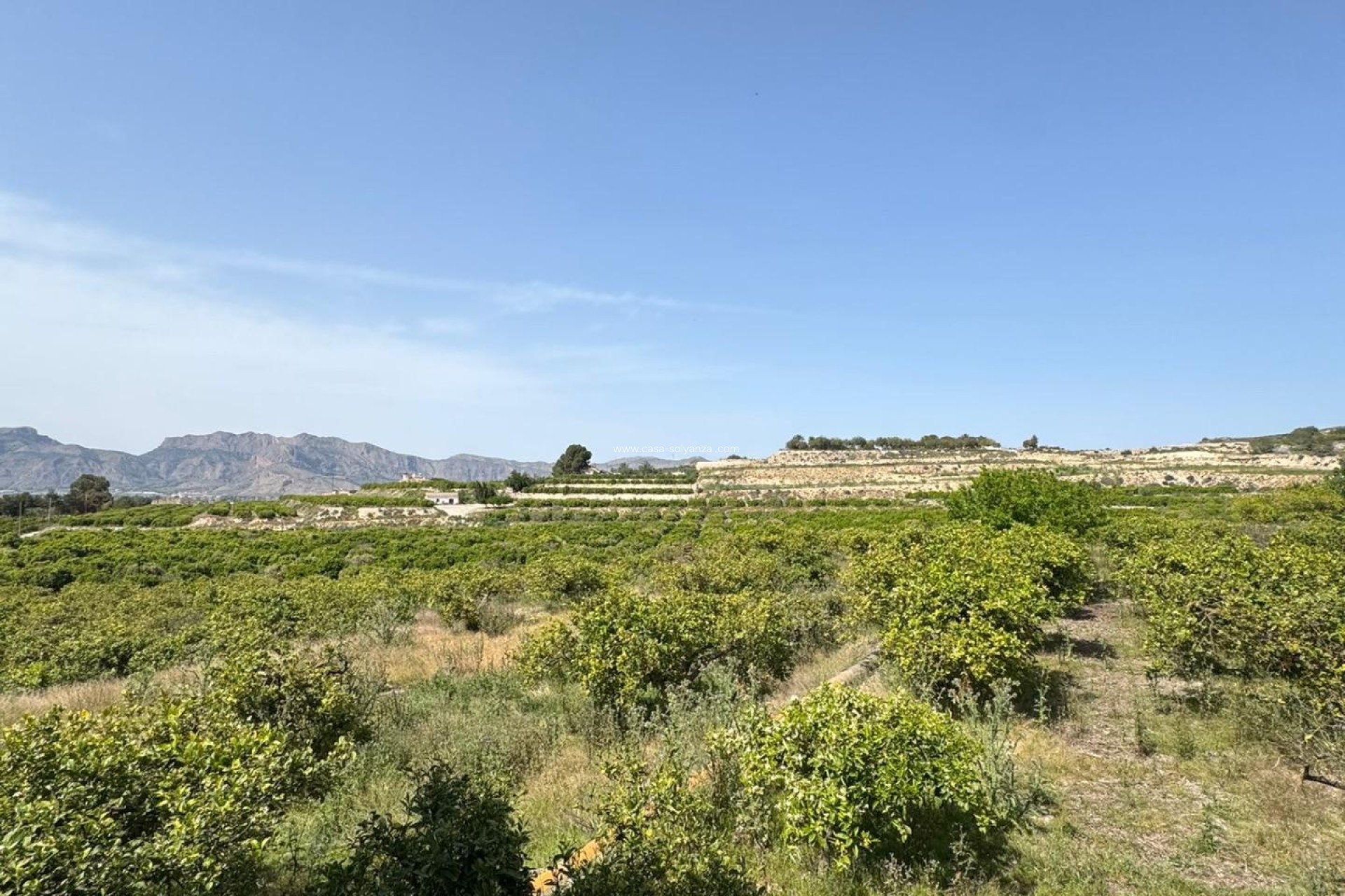 Resale - Country Property/Finca - Orihuela - Arneva