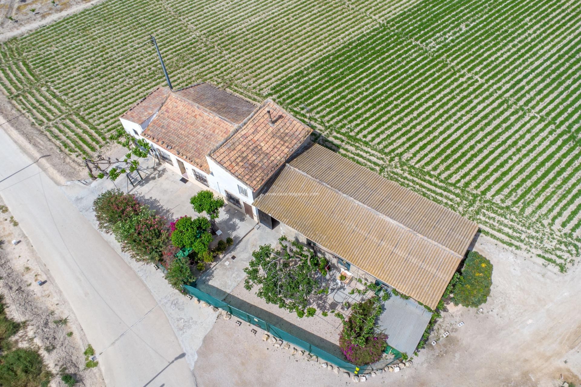 Resale - Country Property/Finca - Orihuela - Desamparados