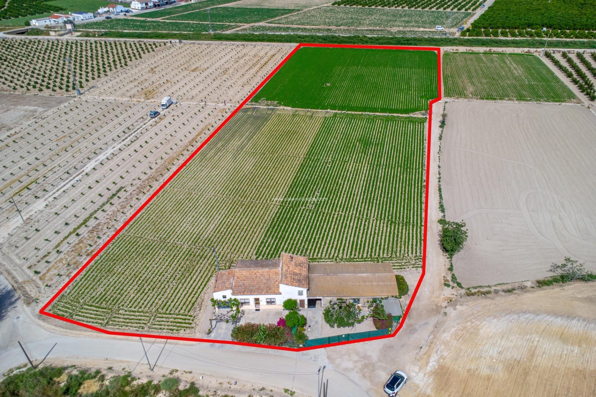 Resale - Country Property/Finca - Orihuela - Desamparados