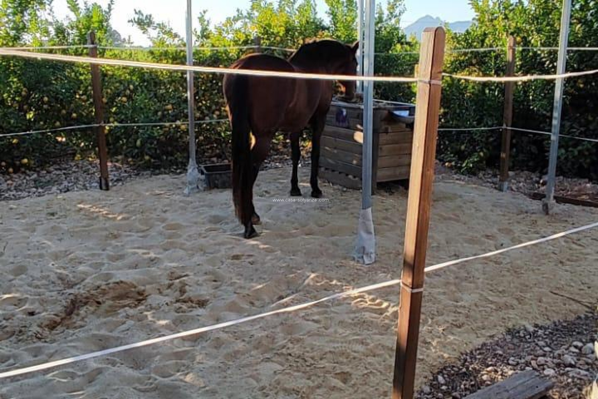 Resale - Country Property/Finca - Orihuela - Inland