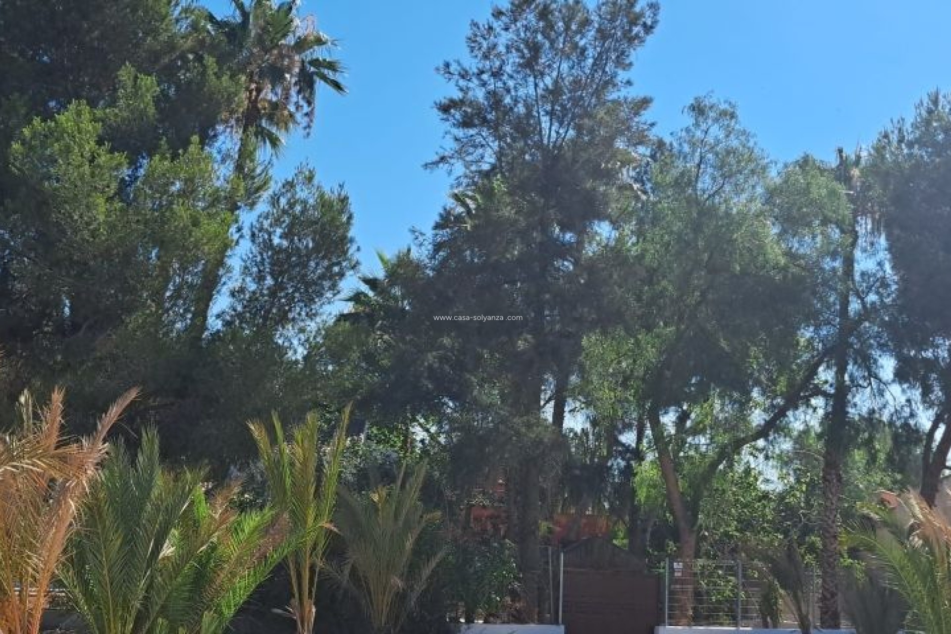 Resale - Country Property/Finca - Orihuela