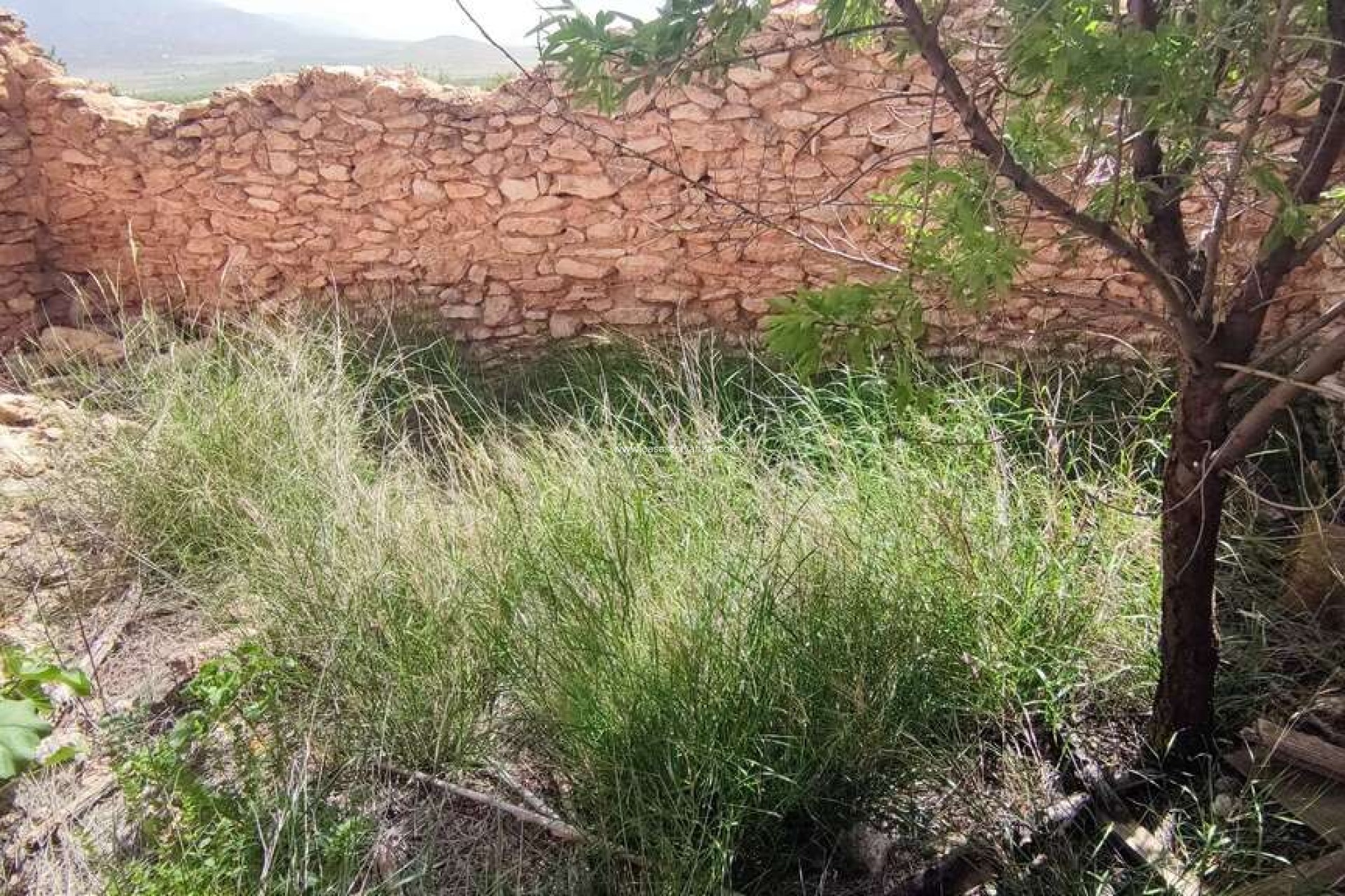 Resale - Country Property/Finca - Pinoso - Inland