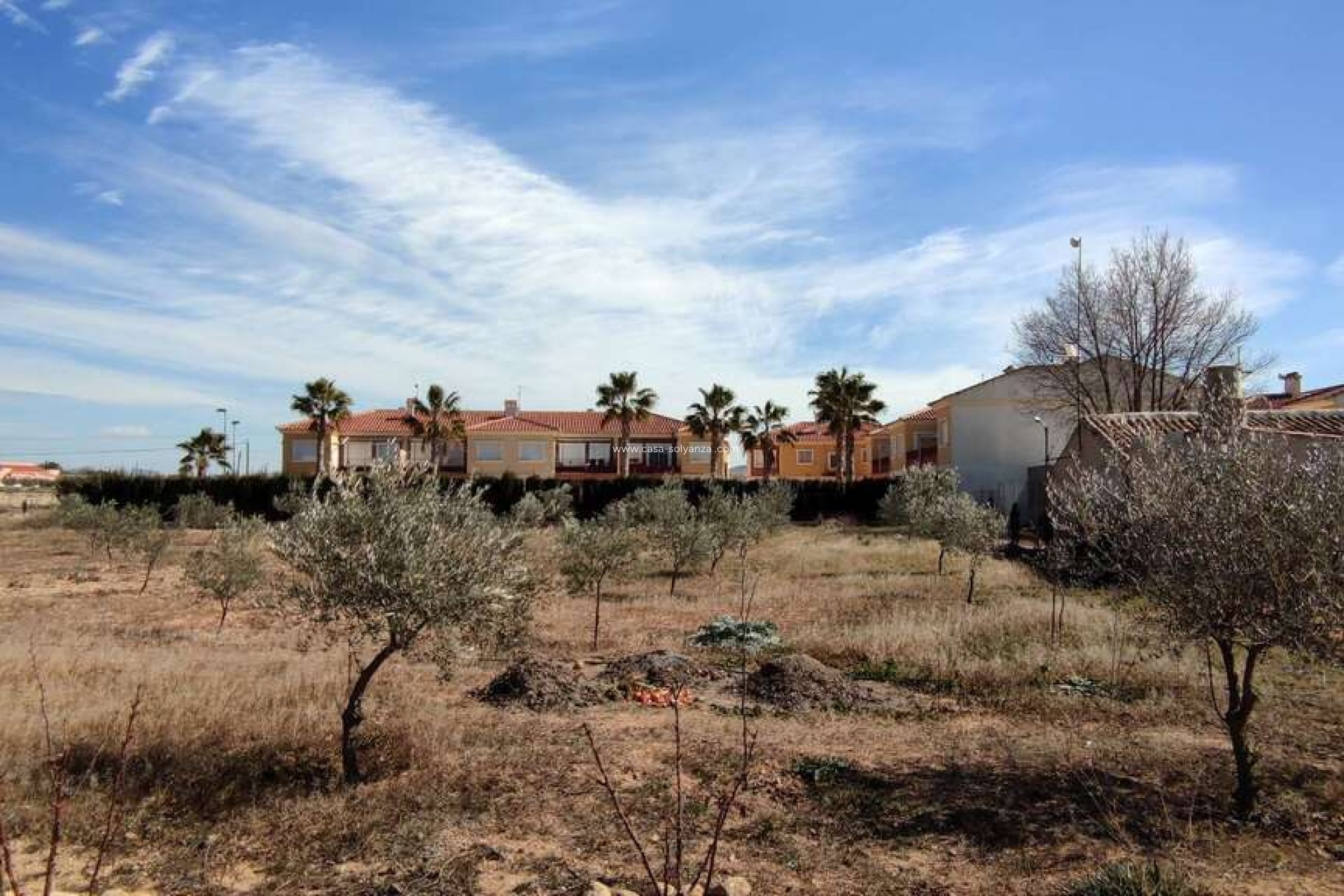 Resale - Country Property/Finca - Pinoso - Inland