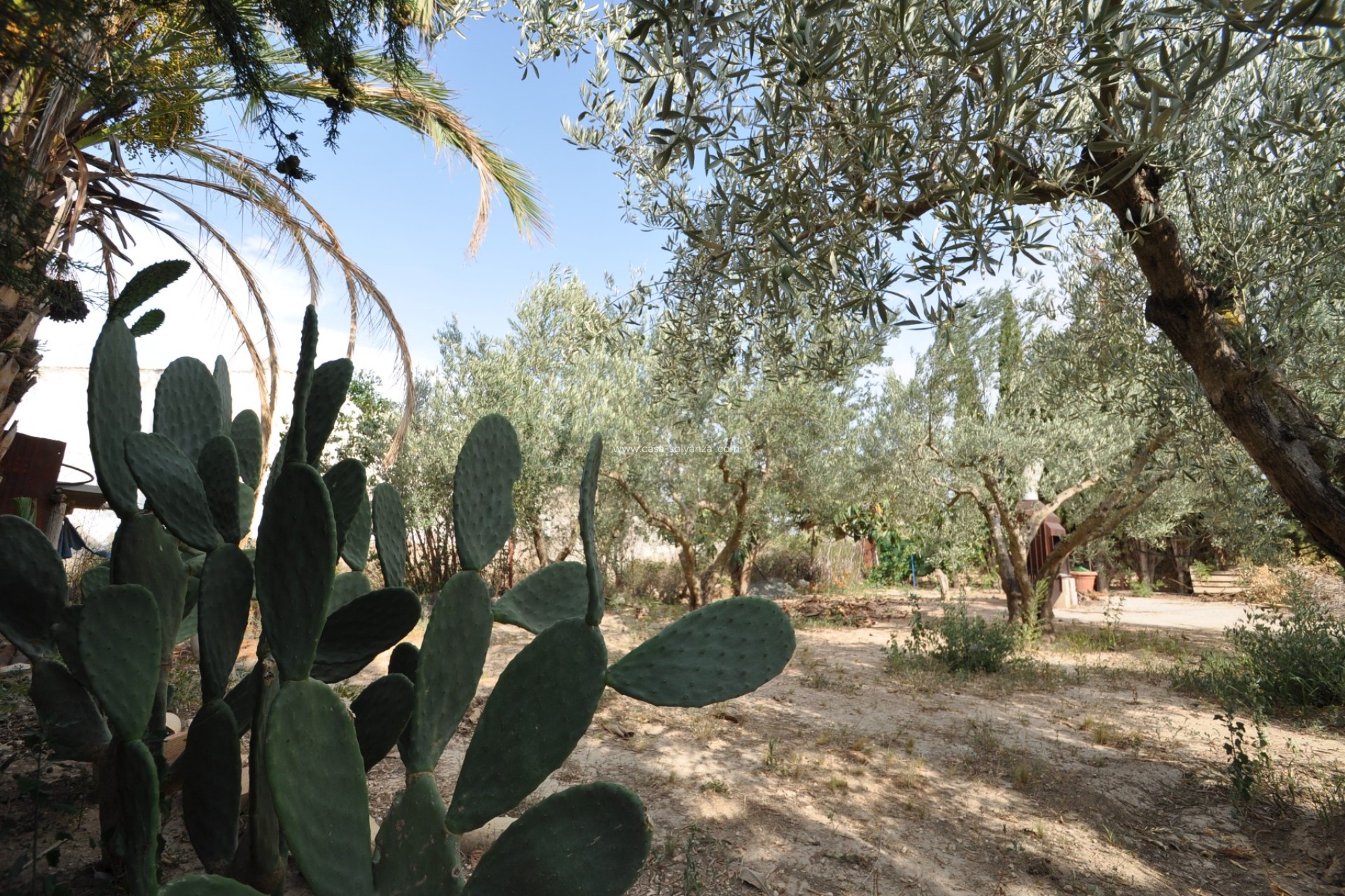 Resale - Country Property/Finca - Pinoso - Inland