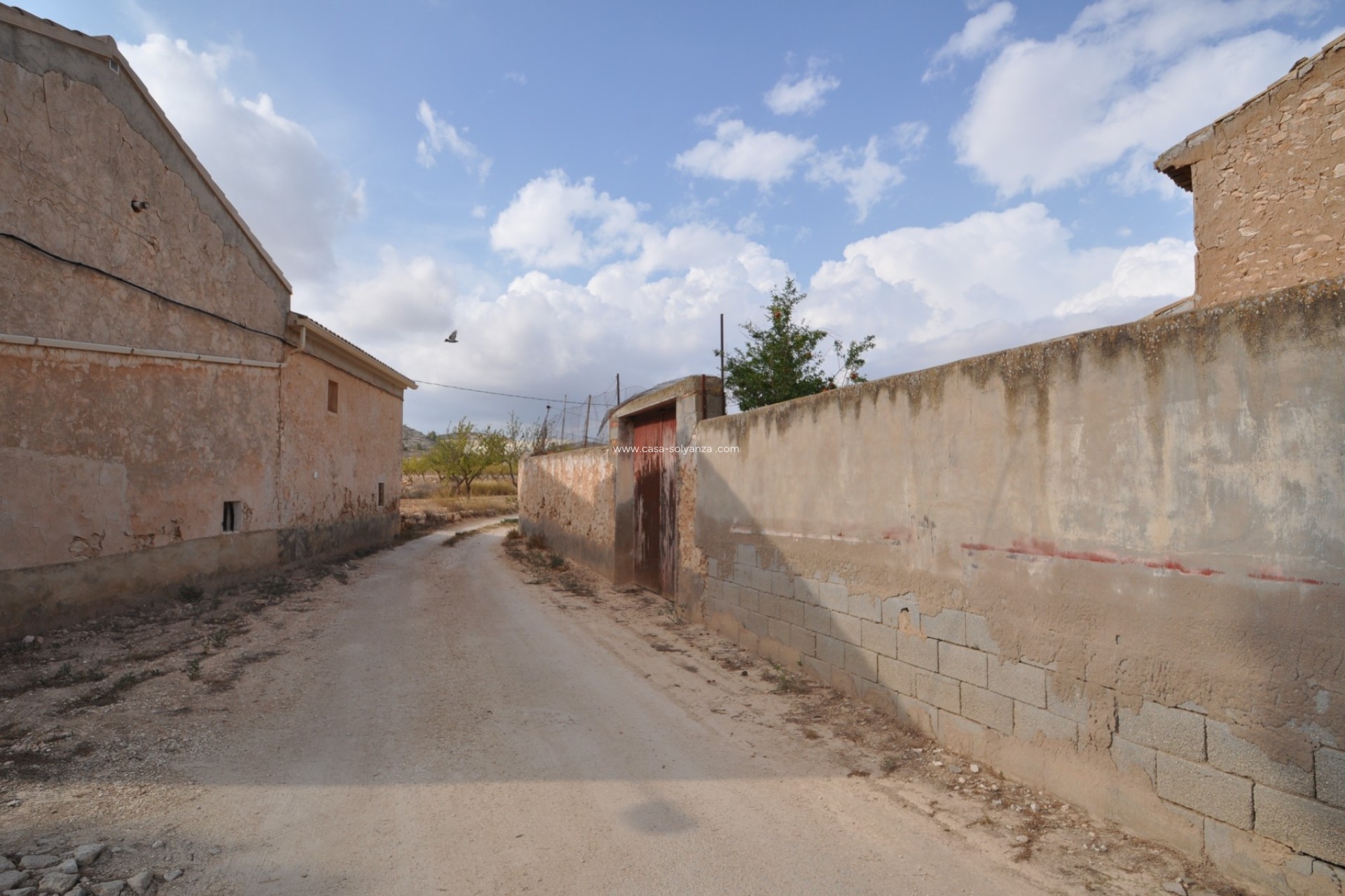 Resale - Country Property/Finca - Pinoso - Inland