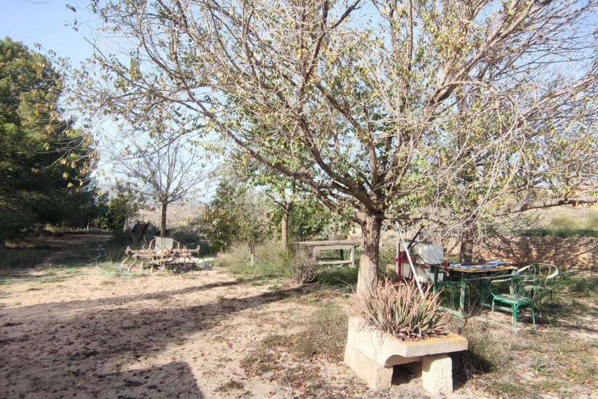 Resale - Country Property/Finca - Pinoso - Inland
