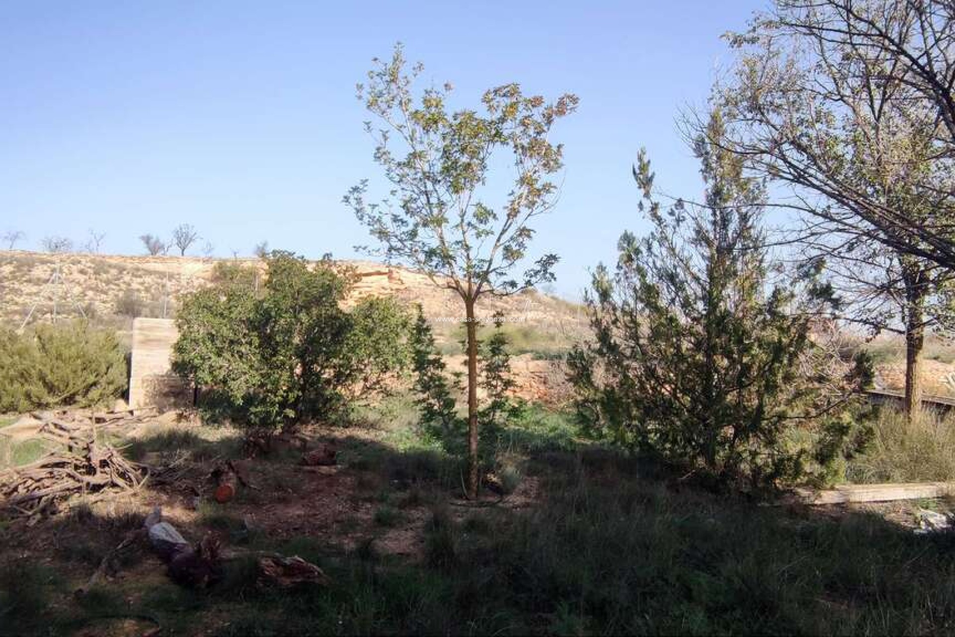 Resale - Country Property/Finca - Pinoso - Inland