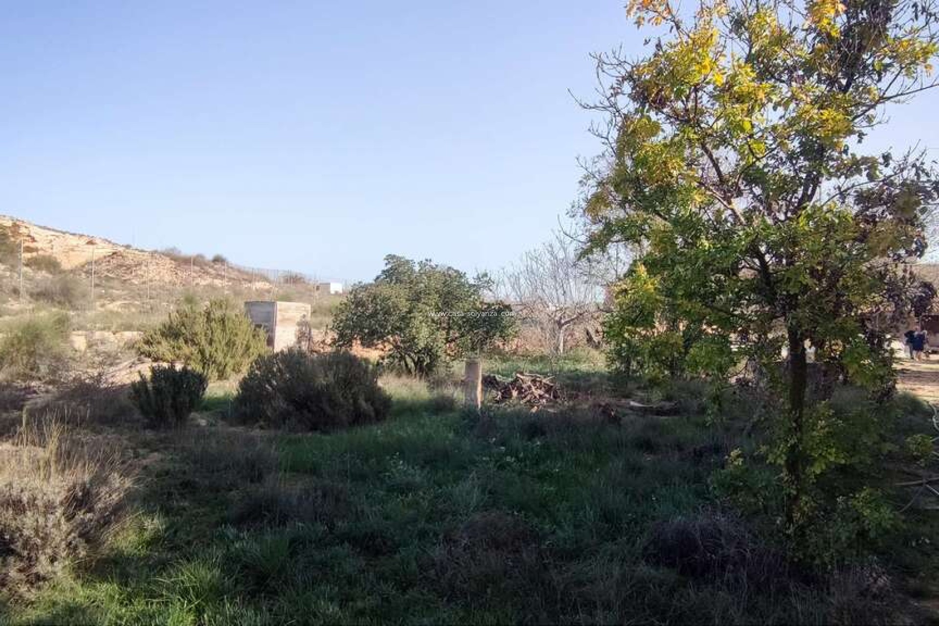 Resale - Country Property/Finca - Pinoso - Inland