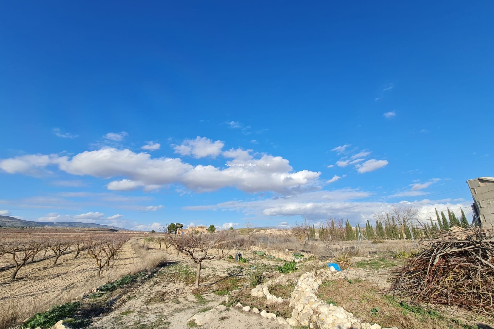 Resale - Country Property/Finca - Pinoso - Inland