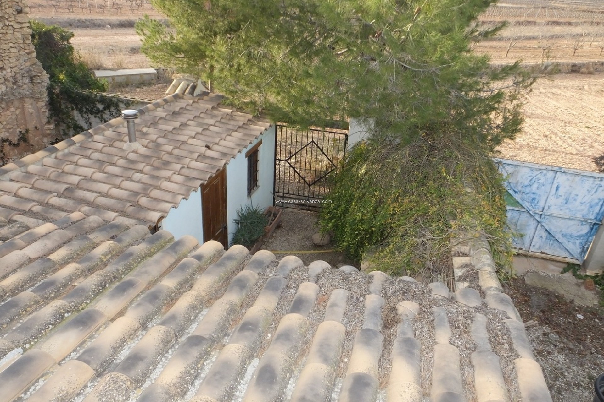 Resale - Country Property/Finca - Pinoso - Inland