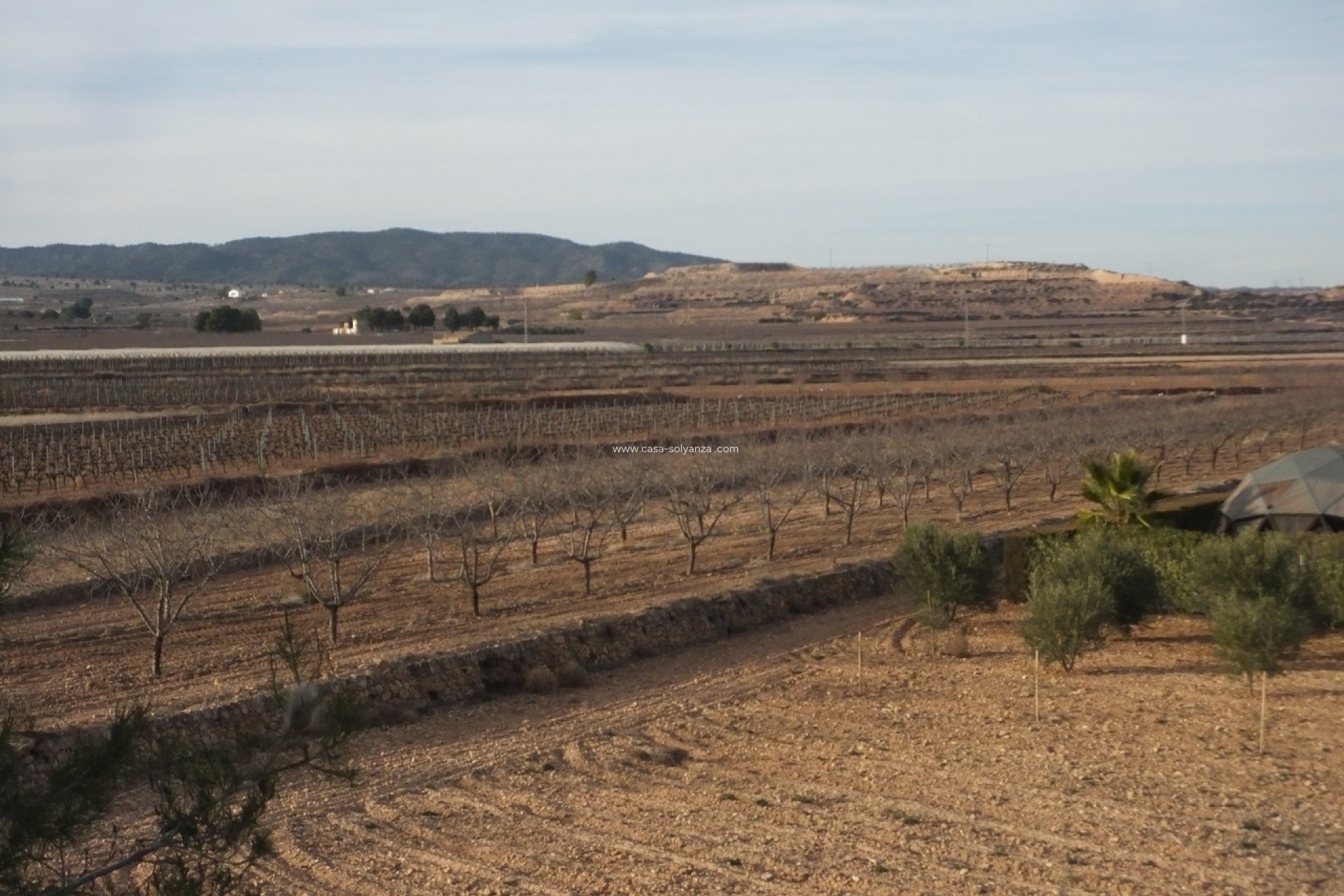 Resale - Country Property/Finca - Pinoso - Inland